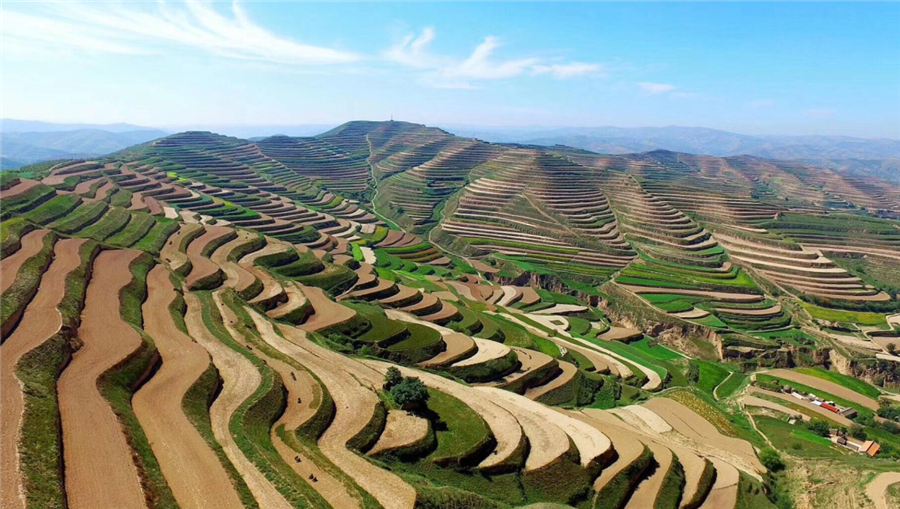 領(lǐng)先生物|國(guó)家重點(diǎn)研發(fā)計(jì)劃“黃土高原旱作適水改土與產(chǎn)能提升技術(shù)模式及應(yīng)用”項(xiàng)目啟動(dòng) 領(lǐng)先生物|國(guó)家重點(diǎn)研發(fā)計(jì)劃“黃土高原旱作適水改土與產(chǎn)能提升技術(shù)模式及應(yīng)用”項(xiàng)目啟動(dòng)